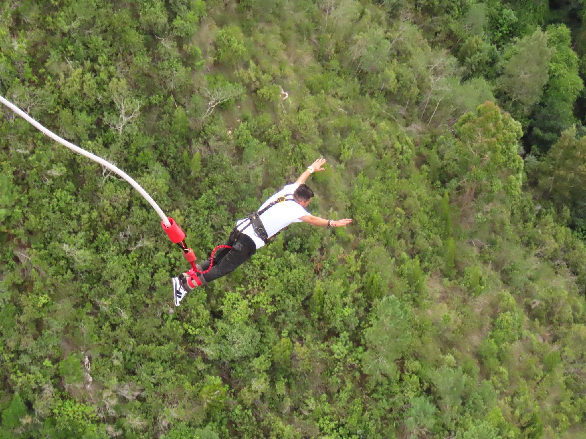 484545440_1068350791996674_2182786105207506997_n