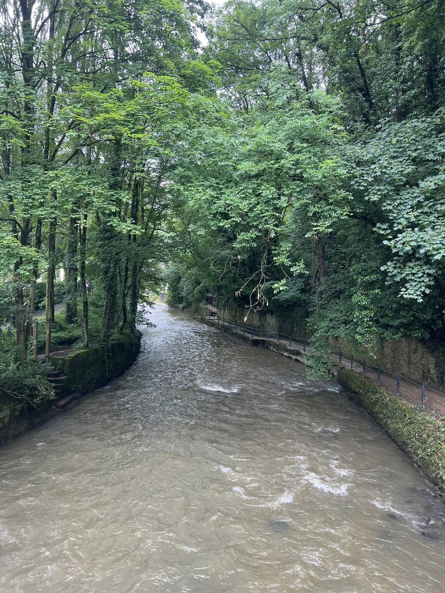 486122562_1074212474743839_7958672820110896621_n