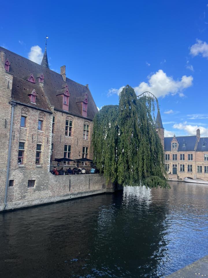 545615319_1217329703765448_6932666857137508801_n