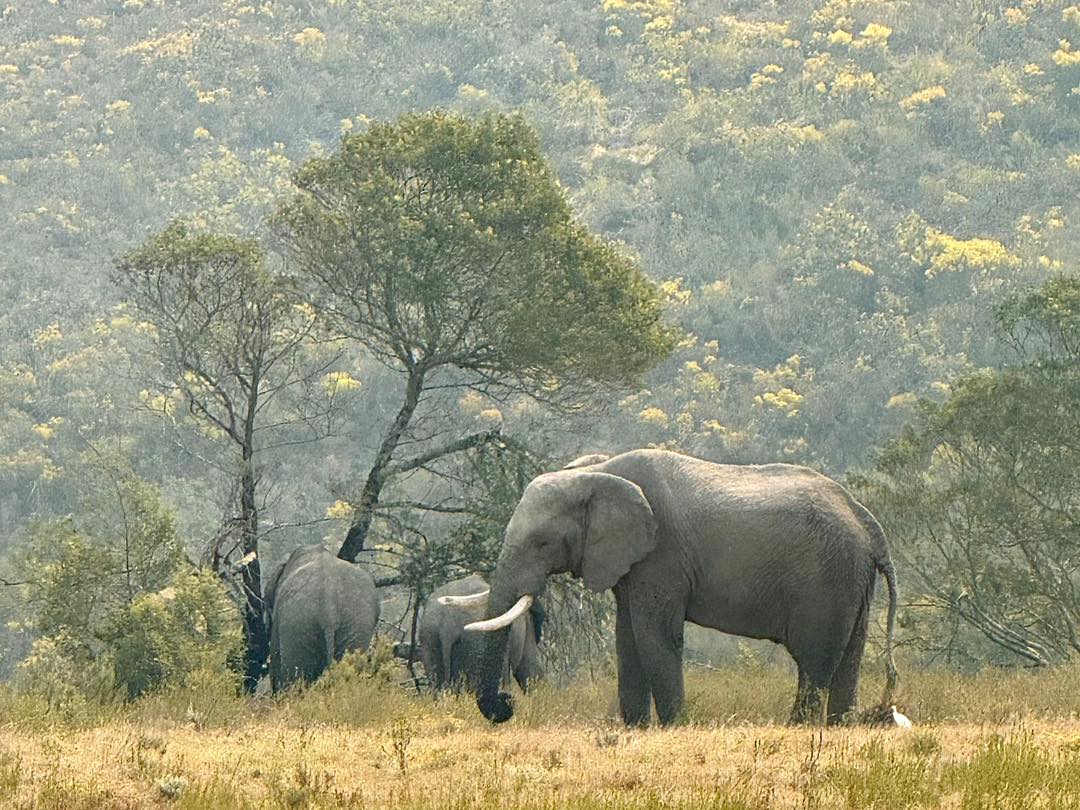 582408263_1273851164779968_9125337425450844350_n