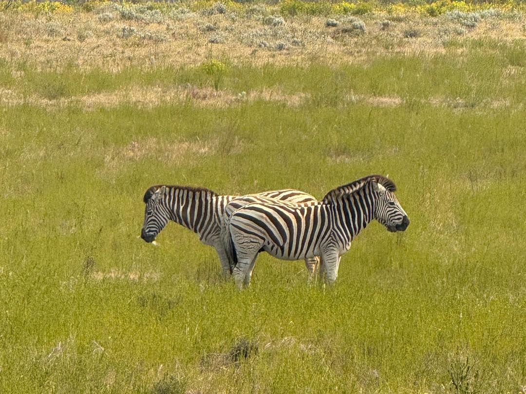 582527451_1273851158113302_373219080518323042_n