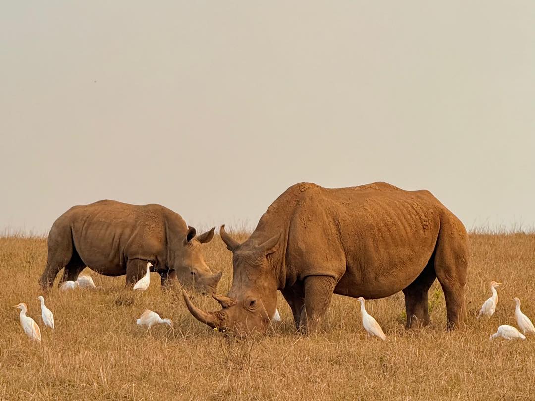 583021430_1273851094779975_932541330612960718_n